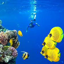 Marsa Alam